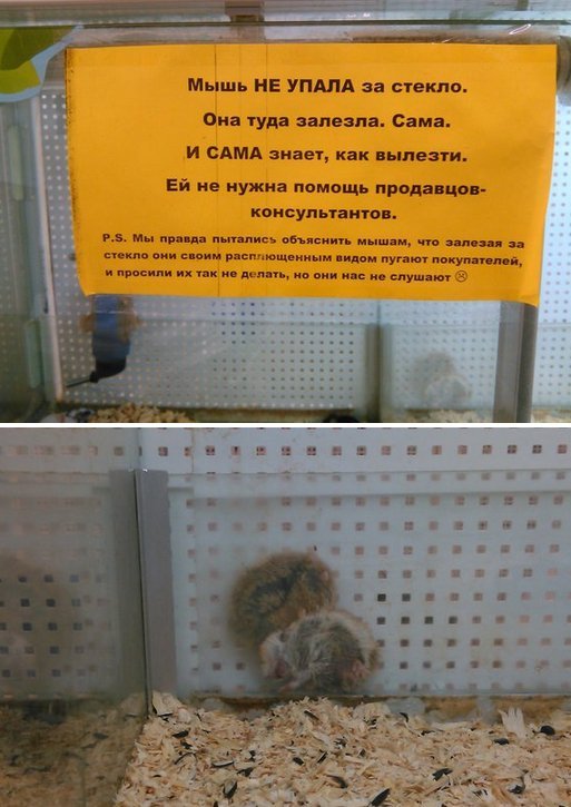 Фото приколы (96 фото)