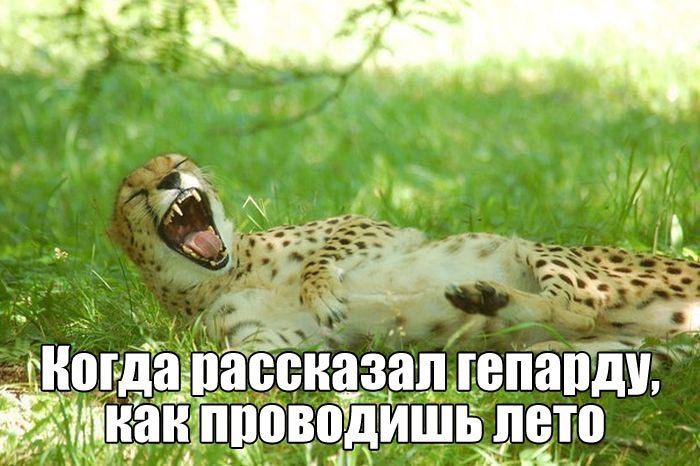 Фото приколы (76 фото)