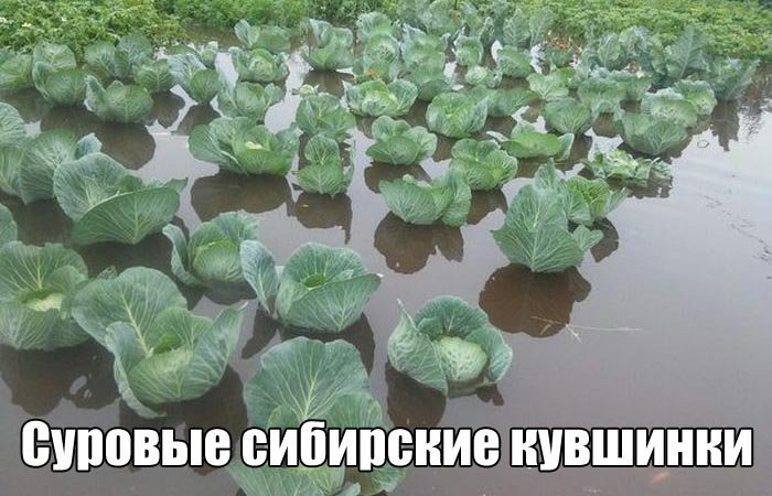 Фото приколы (92 фото)