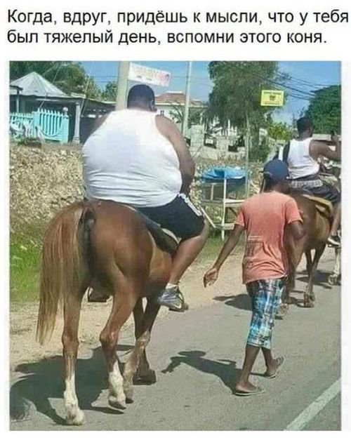 Фото приколы (99 фото)