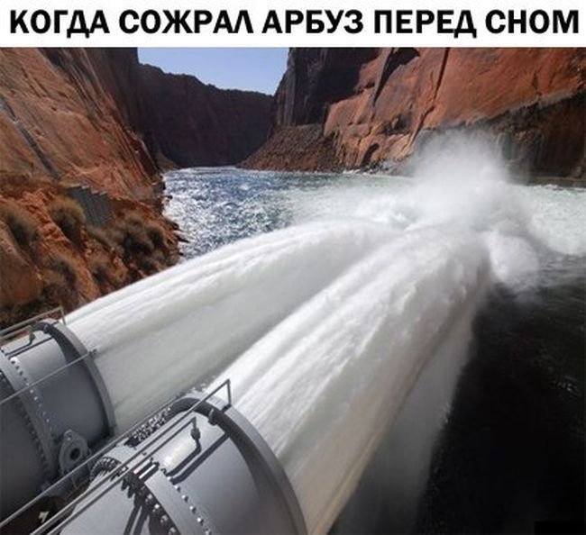 Фото приколы (78 фото)