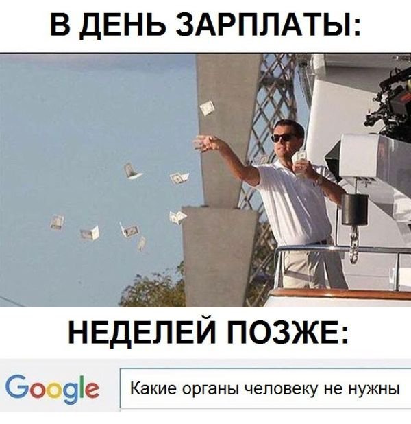 Фото приколы (82 фото)