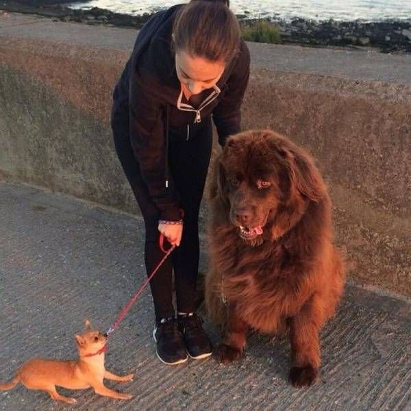 Фото приколы (87 фото)