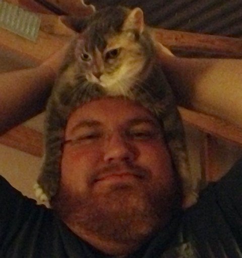 Котошапка - коты на голове!