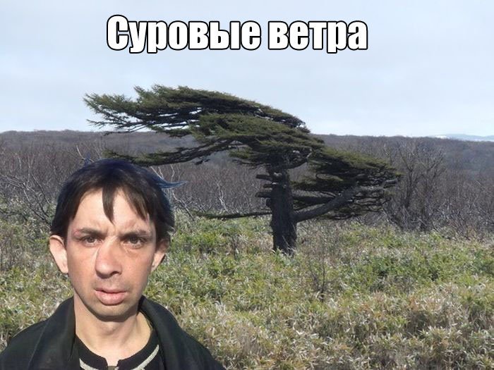 Фото приколы (50 фото)