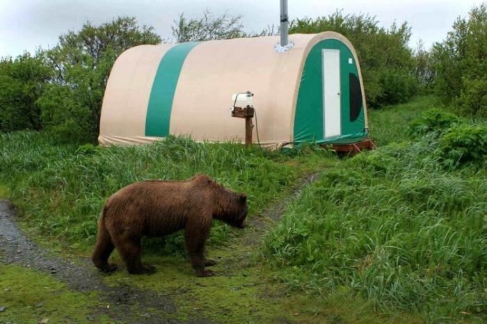 «Медвежий лагерь» на Аляске