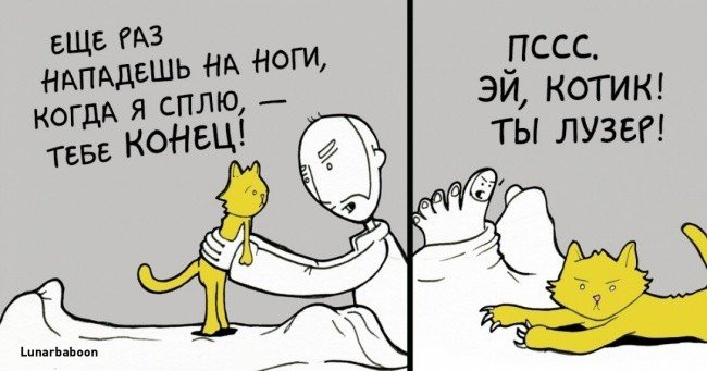 Смешные комиксы о котах