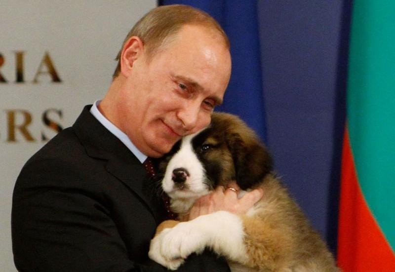 Самые яркие фотографии Владимира Путина с животными