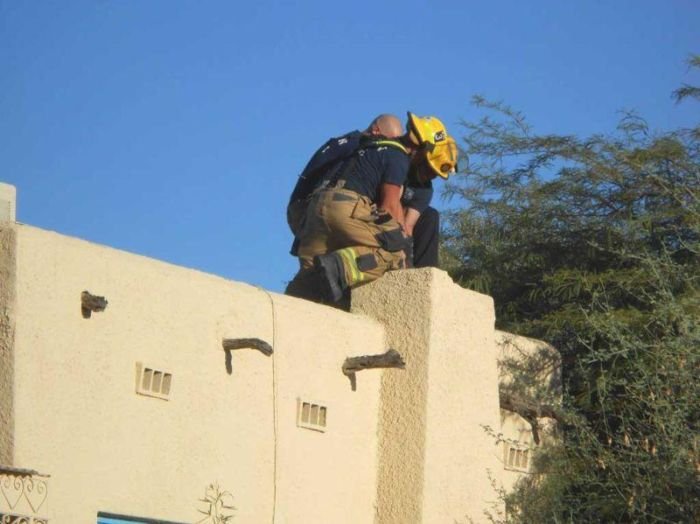 В США спасатели достали из дымохода «домовенка Кузю»