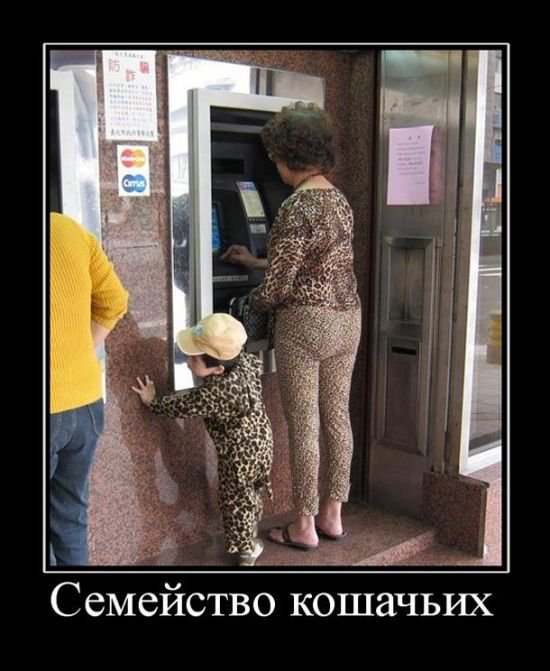 Демотиваторы 02.11.2016