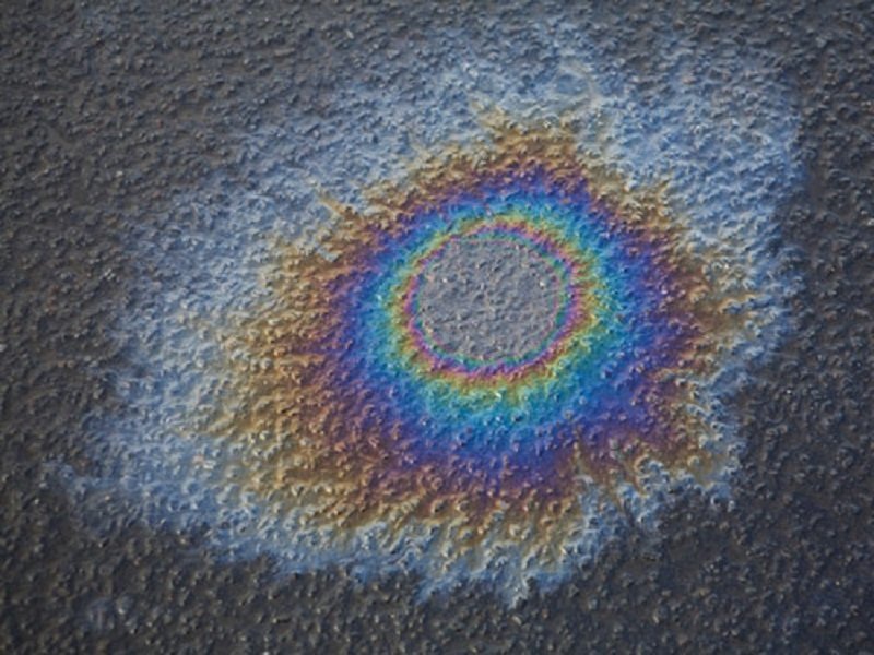 Шокирующие фото ужасающих последствий от разлива нефти