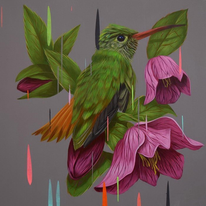 Птицы в картинах Frank Gonzales