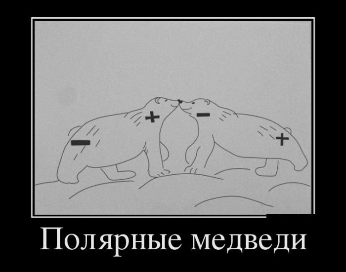 Демотиваторы (28 фото)