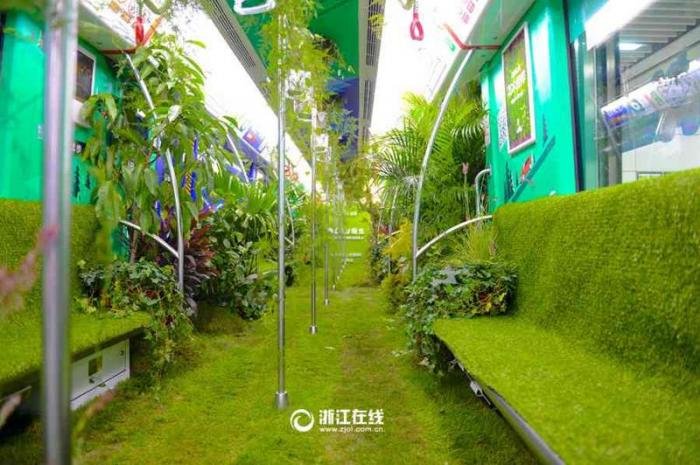 В Китае вагон метро превратили в зеленый лес