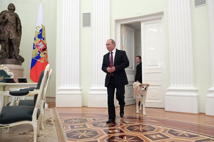 Путин показал Японским журналистам подаренную ему собаку
