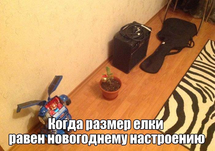 Фото Приколы (97 фото)