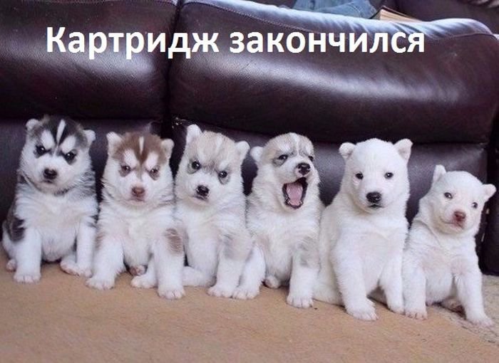 Фото Приколы (90 фото)