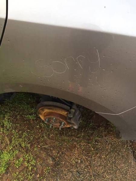 Фото Приколы (105 фото)