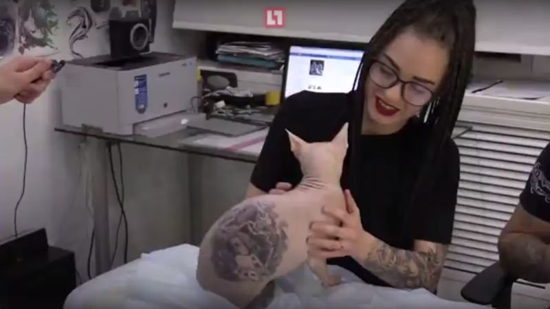 Татуировщик набил своему коту татуировки