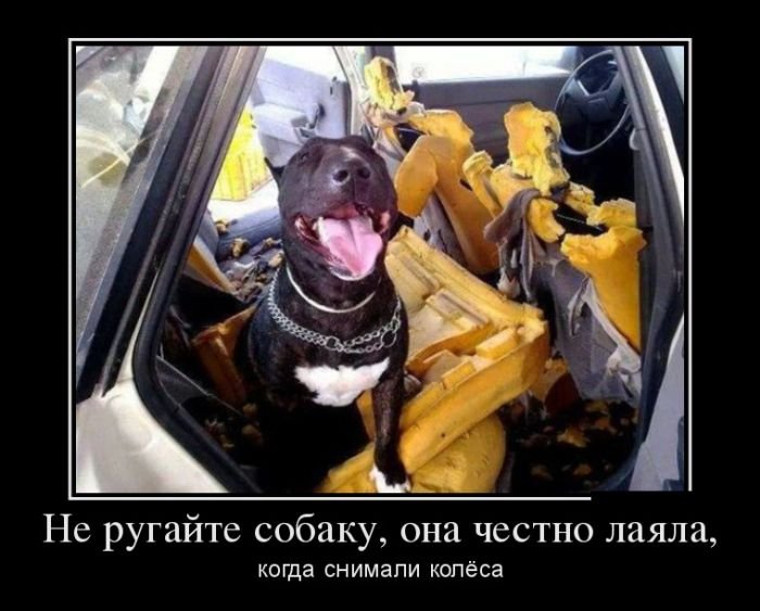 Демотиваторы (30 фото)