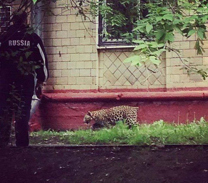 Фото Приколы (48 фото)