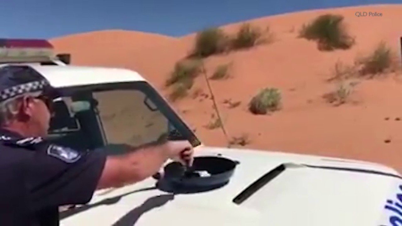Австралийский коп жарит яичницу на капоте служебного авто