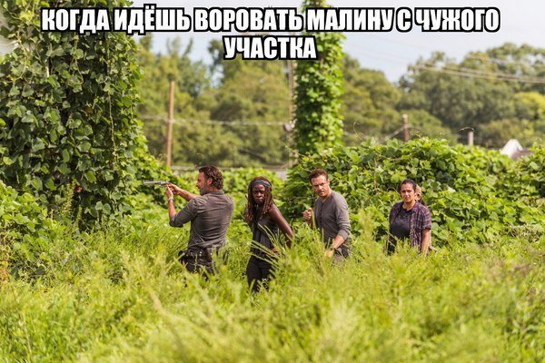 Прикольные Фото Приколы (34 фото)