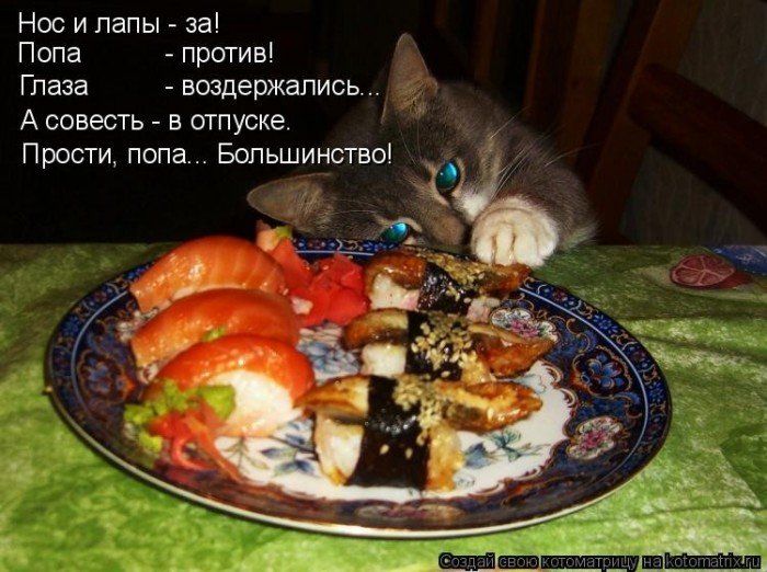 Котоматрица - смешные коты, юмор!