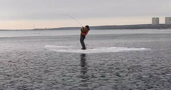 Фото Приколы Дня