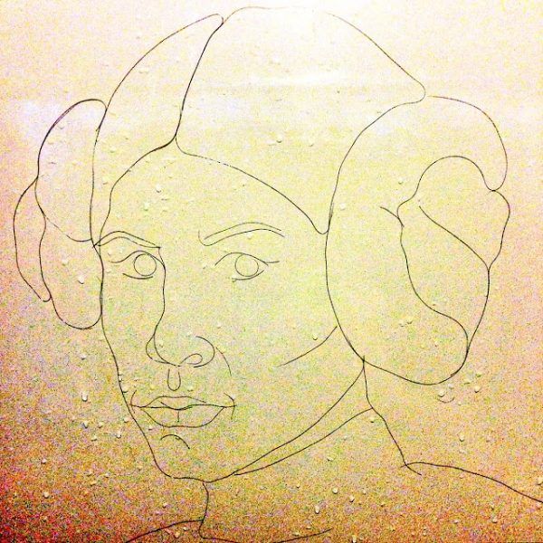 Художница создает рисунки из волос, оставшихся после душа