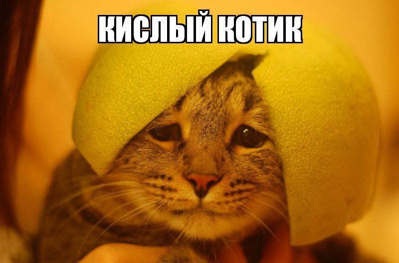 Разные Фото Приколы