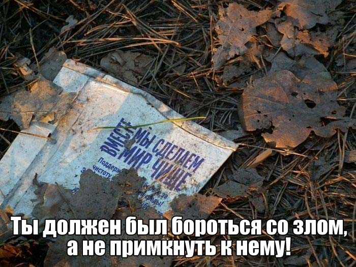 Прикольные фото подборка дня (101 фото)