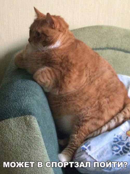 Прикольные фото подборка дня (118 фото)