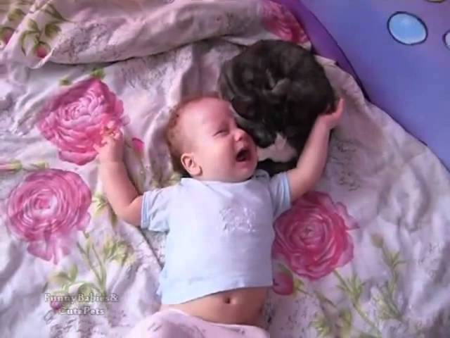 Кошка успокаивает плачущего малыша