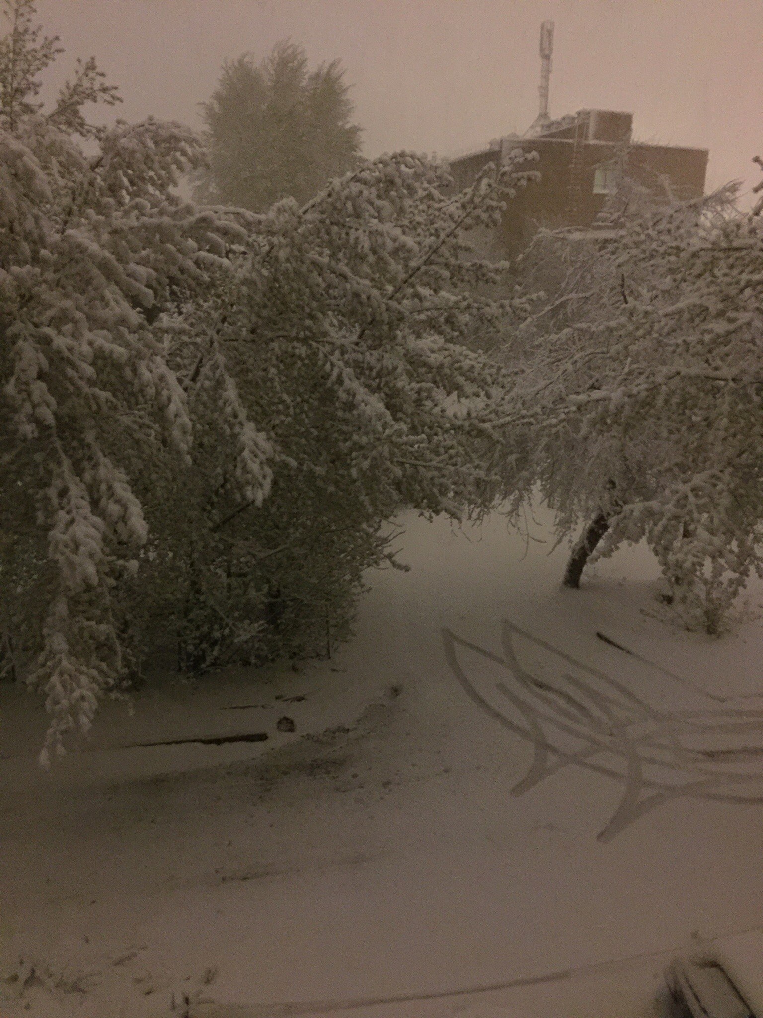 В Красноярске сегодня выпал снег