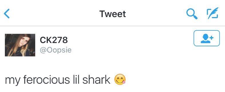 Прикольная собака в костюме акулы