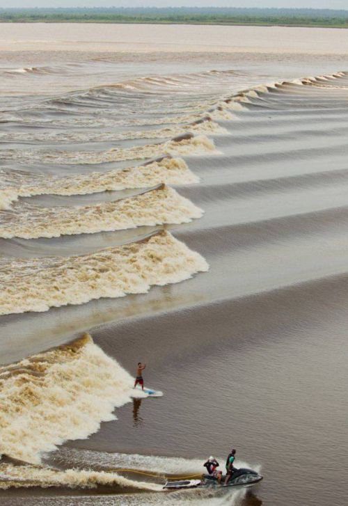 Фото Приколы Rulez-t.info (54 фото)