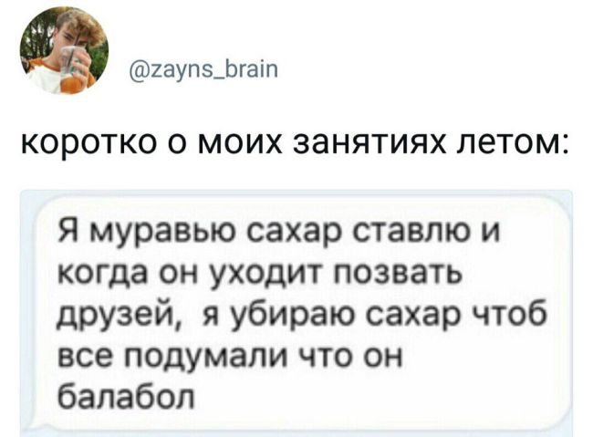 Фото Приколы (51 фото)