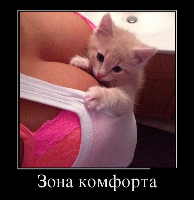 Демотиваторы (27 фото)