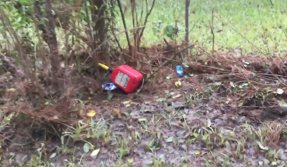 Выжившие звери: Трогательная встреча фермера с уцелевшими после урагана животными