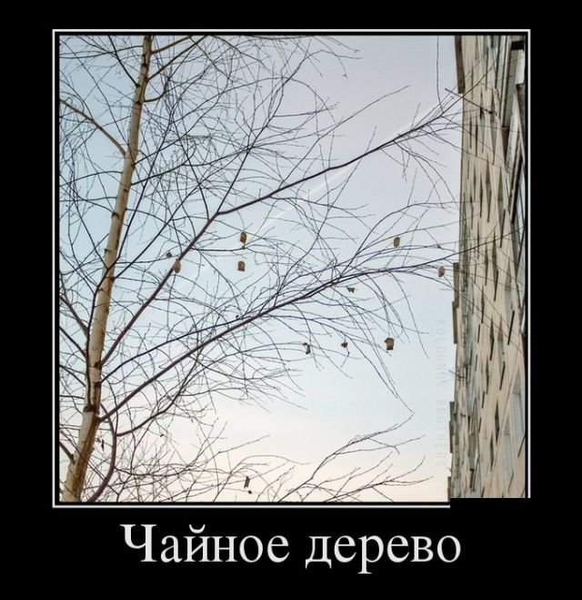 Демотиваторы дня (30 фото)