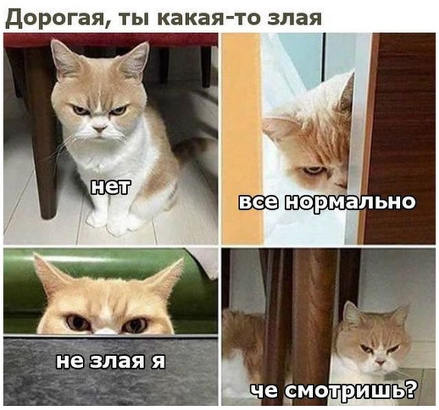 Фотоподборка субботы (94 фото)