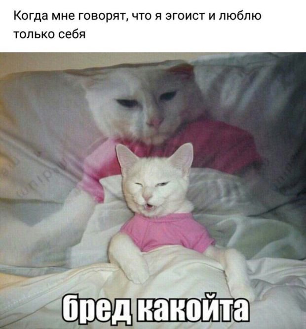 ФОТО ПРИКОЛЫ КАРТИНКИ ШЕДЕВРЫ (126 фото)