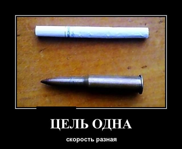 Демотиваторы на воскресенье (30 фото)