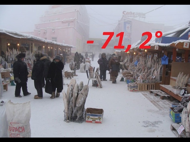Иностранцы в шоке от сильных морозов в Якутии. (Документальный)