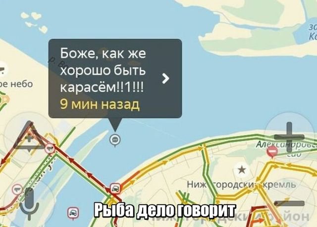 Фотоподборка прикольных картинок (59 фото)