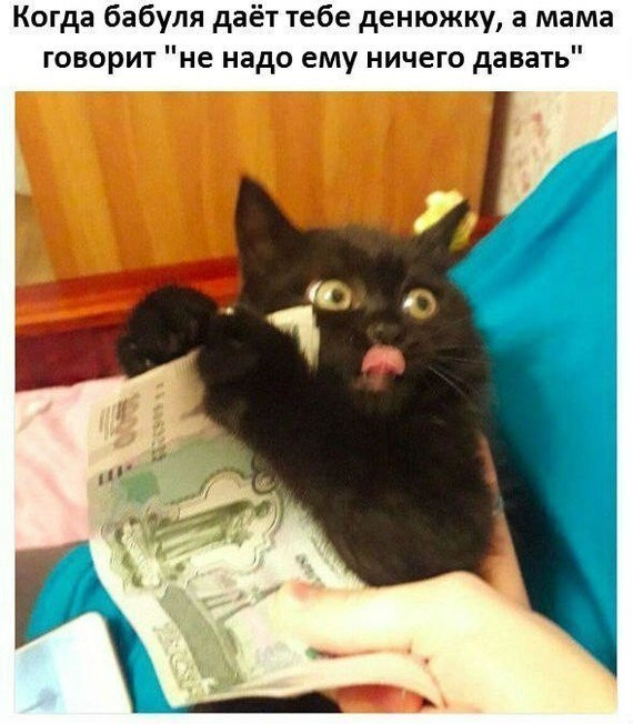 Фото Приколы (61 фото)