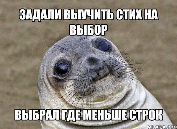 Фото Приколы (28 фото)