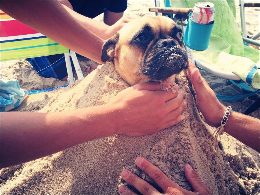 Фотоподборка дня (39 фото)