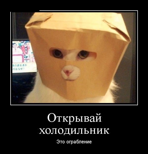 Демотиваторы (30 фото)